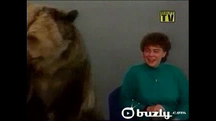 Bear Attack