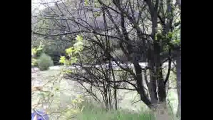 Rali