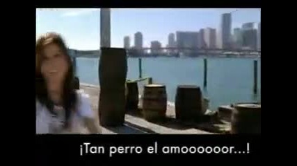 Perro Amor