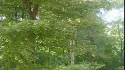 Timelapse World
