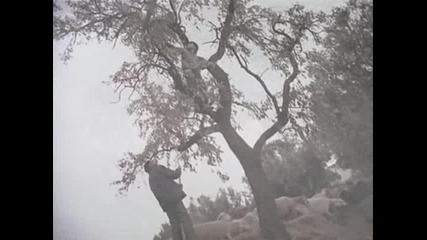 Enigma - Return To Innocence Hq