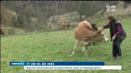 Двойни осигуровки за хиляди българи