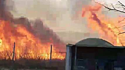 Пожар горя в защитената местност Орловото блато