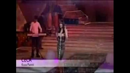 Svetlana Ceca Raznatovic - koza pamti gay themed