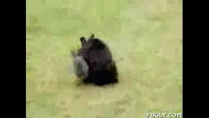 Кой Кого:) А?