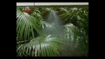 H2о just add water - сезон 1, епизод 6 