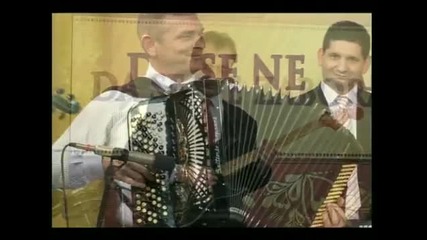 Danka Stojiljkovic - Ja ne mogu majko bez njega
