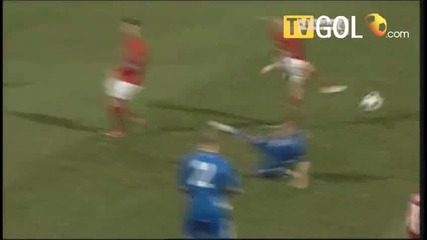 Raul Meireles goal vs. Iceland