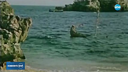 Почина режисьорът на "Куче в чекмедже" и "С деца на море"