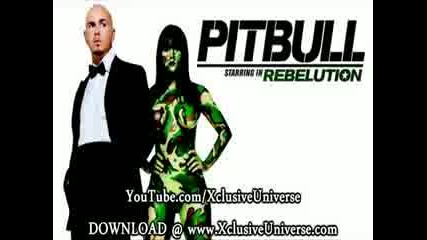 Pitbull feat. Akon - Shut It Down