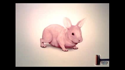 Най - Добрите Рекламни Снимки За 2007