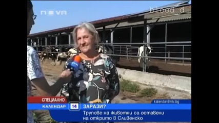 Мъртви животни се оставят на открито в Сливенско 