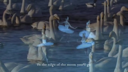 Swan ❤ Secret Garden