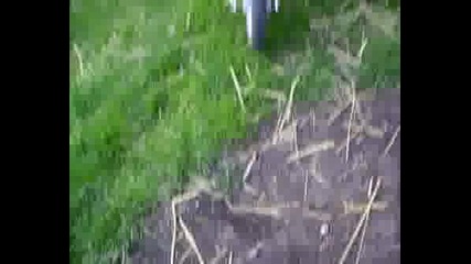 Divak S Mini Motor Pili Gumi