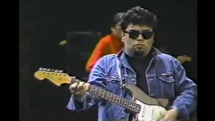 Los Lobos - La Bamba 