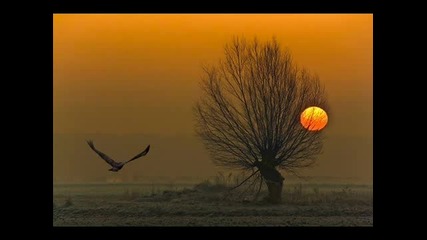 Tritonal Feat Cristina Soto - Crash Into Reason (moonbeam Remix) [hq]