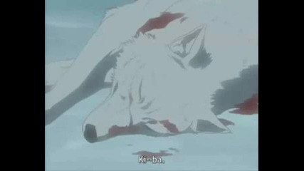 Wolf`s rain Amv 