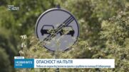 Непочистена растителност и опасни пътища в Северозападна България