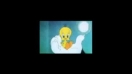 Tweety forever!!!