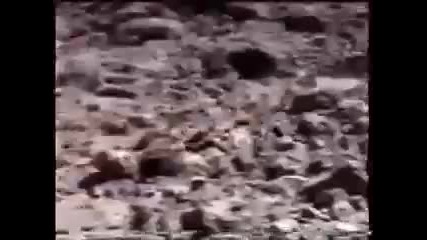 Провалената мисия на Марс - Fun 