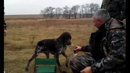 Това се казва приятел - Ловно куче донася ракията на ловеца