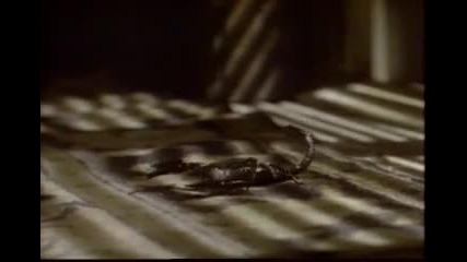 Scorpions - I'm Leaving You + превод
