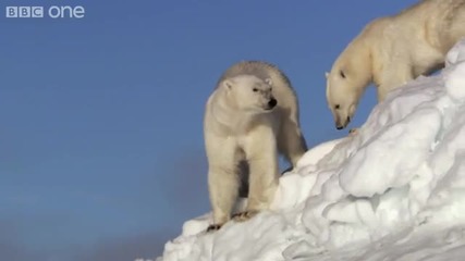 Топенето на ледниците - Bbc One 