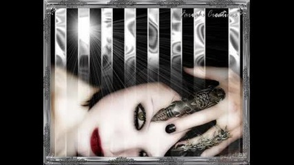 Tatu New