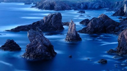 Nature in Blue
