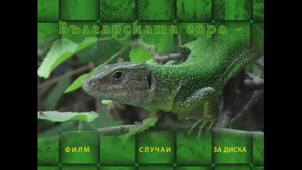 Bgforestdvdintrolupy