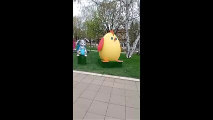 Vid_20230408_154835.mp4