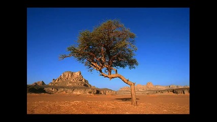 Пясъкът на Африка - Ирене Фарго