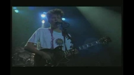 Big Country - Where the rose is sown