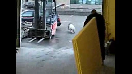 Боби Пазарува В Бриколаж