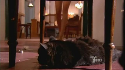 Flor Salvaje Capitulo 70 parte 5