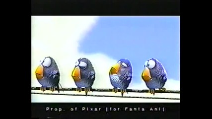 Fun For Da birds 