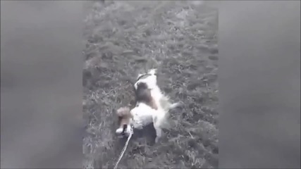 Биричката е друго нещо