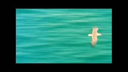 Dj Simo feat Gabriel David - Beautiful remix 2012 Plazza Dance