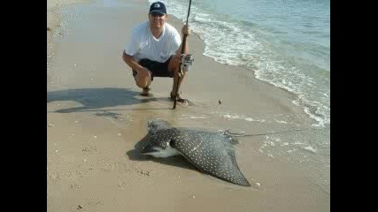 Surf Fishing 2005