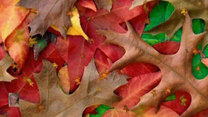 Nat King Cole - Autumn Leaves - Eсенни листа