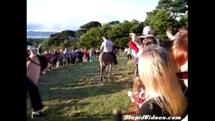 Какво му стана на това магаре