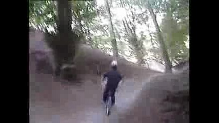 Downhill & Mountain bike & Freeride 