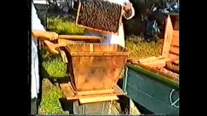 Обработка на пчелите с разстителни масла 