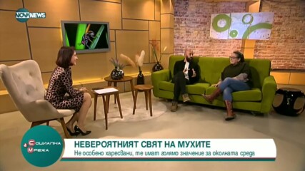 Колко са важни мухите за околната среда
