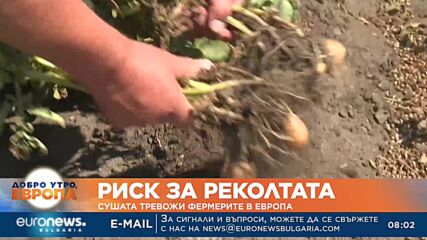 Риск за реколтата: Сушата тревожи фермерите в Европа