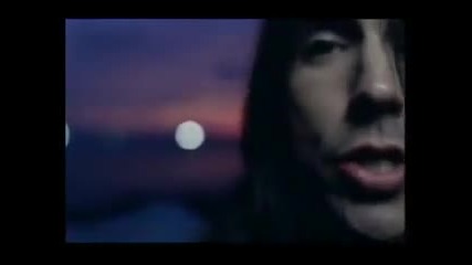 Red Hot Chili Peppers - Desecration Smile