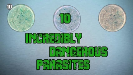 10 Невероятно опасни паразити...