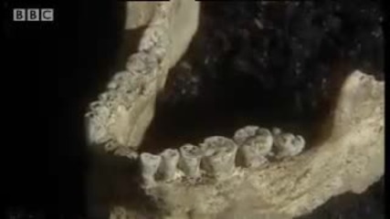 Ancient seafood platter - Wild New World - Bbc history 