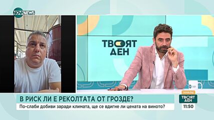 Производители очакват слаба реколта от грозде и повишаване на цените