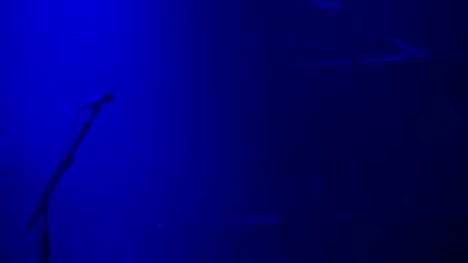 Guns N Roses - Don t Cry (12.05.2012, Stadium Live, Moscow )